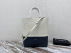 CELINE Original Quality Handbags 488