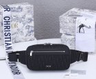 DIOR High Quality Handbags 110