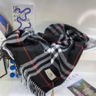 Burberry Scarves 466