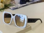 DIOR High Quality Sunglasses 1293