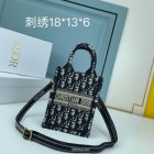 DIOR High Quality Handbags 439