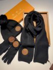 Louis Vuitton Hat & Scarve Set 49