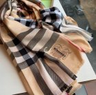 Burberry Scarves 291