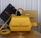 Dolce & Gabbana High Quality Handbags 669