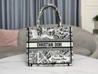DIOR High Quality Handbags 71