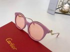 Cartier High Quality Sunglasses 969