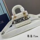 DIOR High Quality Handbags 411