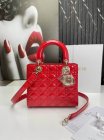 DIOR High Quality Handbags 169