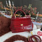 Dolce & Gabbana High Quality Handbags 227