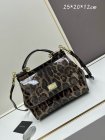 Dolce & Gabbana High Quality Handbags 787