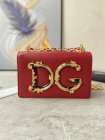 Dolce & Gabbana Original Quality Handbags 541