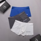 Calvin Klein Men's Underwear 262