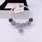 Pandora Jewelry 1099