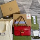 Gucci Original Quality Handbags 1106