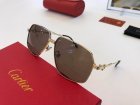 Cartier High Quality Sunglasses 663