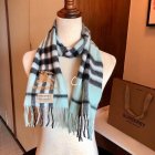 Burberry Scarves 15