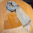 DIOR Scarves 16