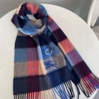 Burberry Scarves 33