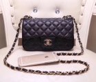 Chanel High Quality Handbags 456