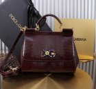Dolce & Gabbana High Quality Handbags 346