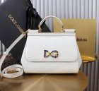 Dolce & Gabbana High Quality Handbags 350