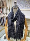 DIOR Scarves 63