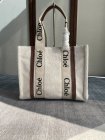 Chloe Original Quality Handbags 302