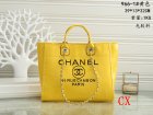 Chanel Normal Quality Handbags 13