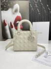 DIOR High Quality Handbags 168