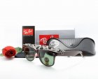 Ray-Ban Normal Quality Sunglasses 144