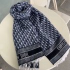 DIOR Scarves 45
