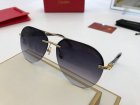 Cartier High Quality Sunglasses 310