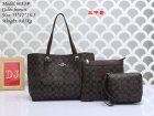 Coach Normal Quality Handbags 125