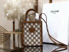 CELINE Original Quality Handbags 869