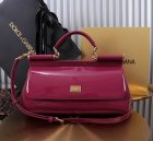 Dolce & Gabbana High Quality Handbags 747