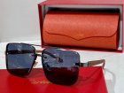 Cartier High Quality Sunglasses 326