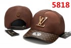 Louis Vuitton Normal Quality Hats 75
