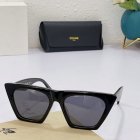 CELINE High Quality Sunglasses 290