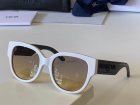 DIOR High Quality Sunglasses 1241