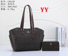 Coach Normal Quality Handbags 156