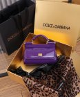 Dolce & Gabbana High Quality Handbags 521