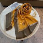 Burberry Scarves 490