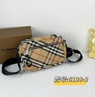 Burberry High Quality Handbags 134