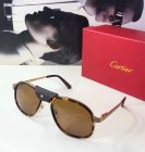 Cartier High Quality Sunglasses 1369