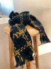 DIOR Scarves 19