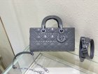 DIOR Original Quality Handbags 917