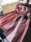 Burberry Scarves 433