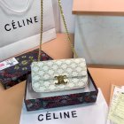 CELINE High Quality Handbags 21