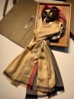 Burberry Scarves 431