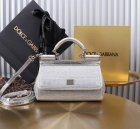 Dolce & Gabbana High Quality Handbags 528